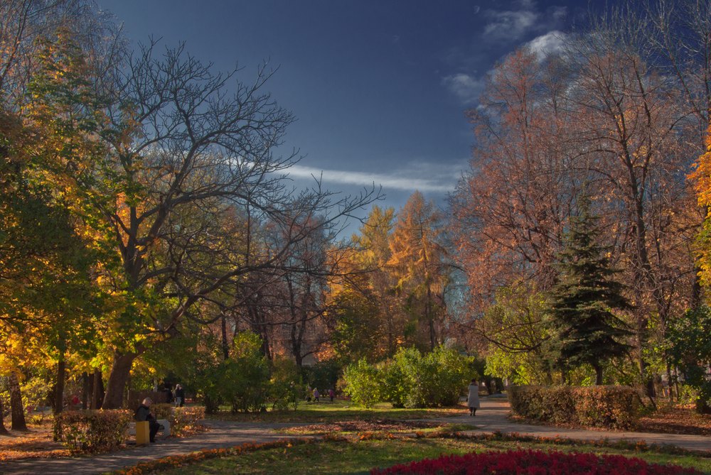 фото "Осень в парке" метки: пейзаж, осень