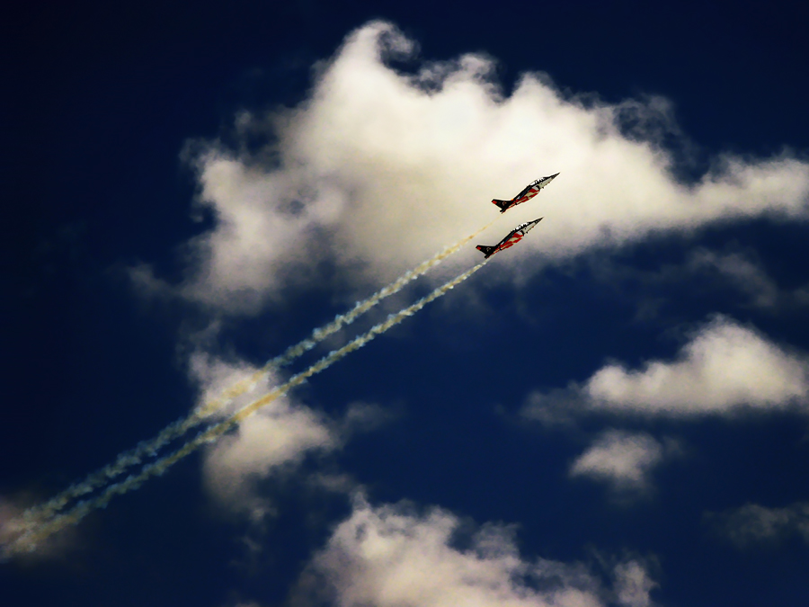 photo "Wings" tags: reporting, misc., 