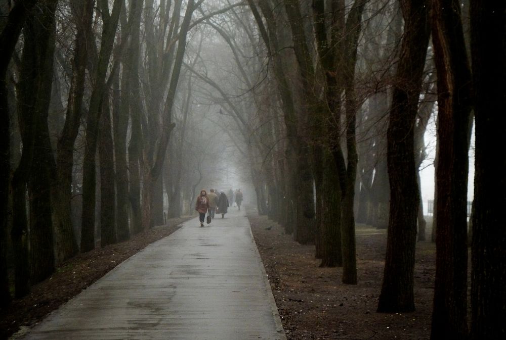 photo "mist in the alleys" tags: , 