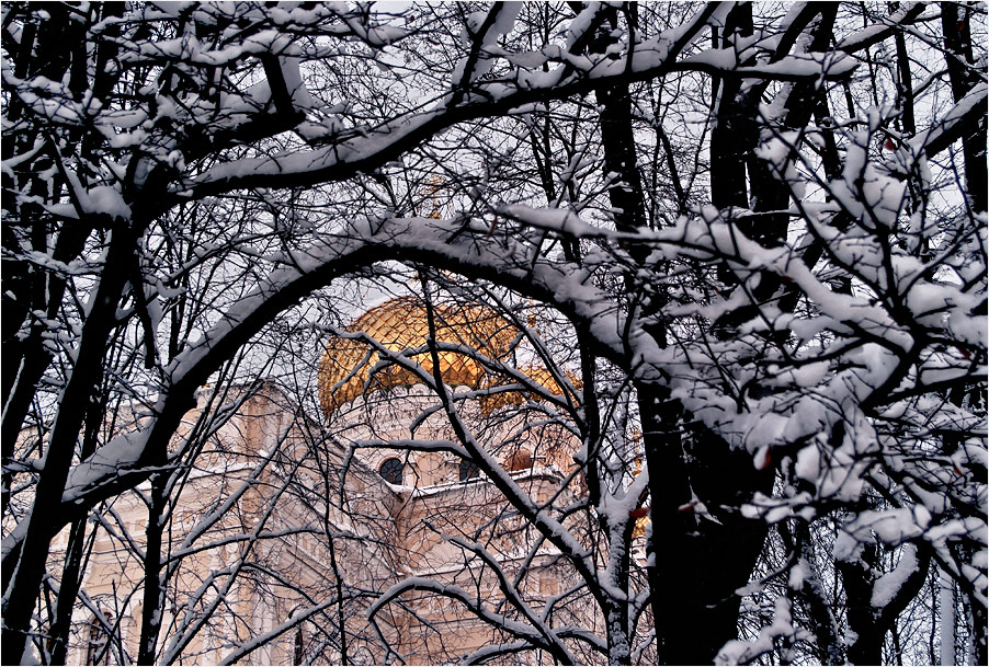 фото "***" метки: разное, 