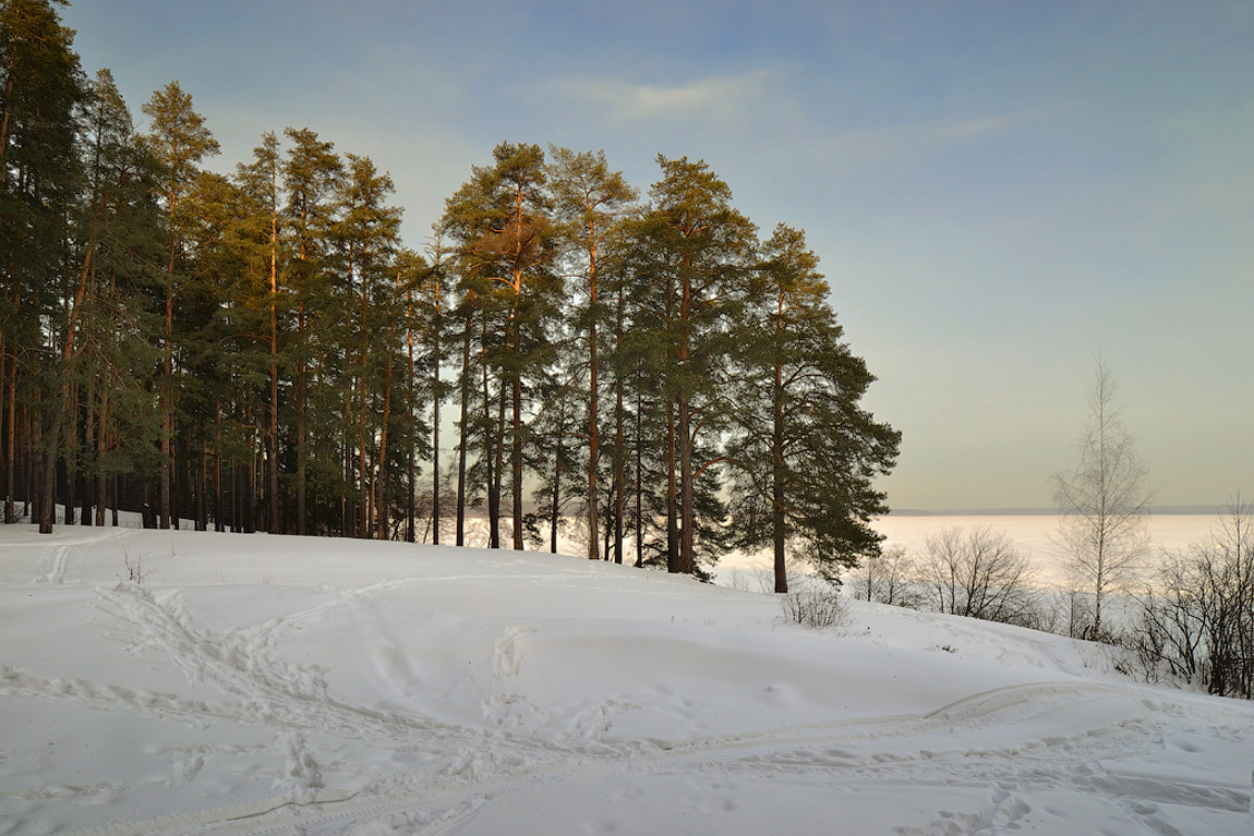 photo "***" tags: landscape, forest, winter