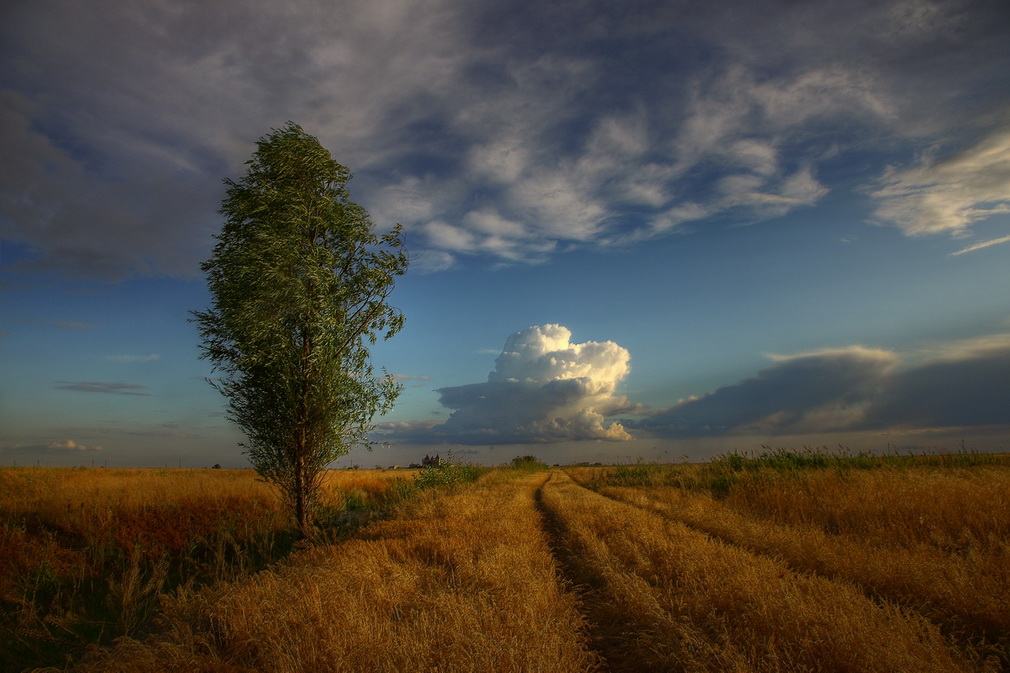 фото "Дорога в небо" метки: пейзаж, лето