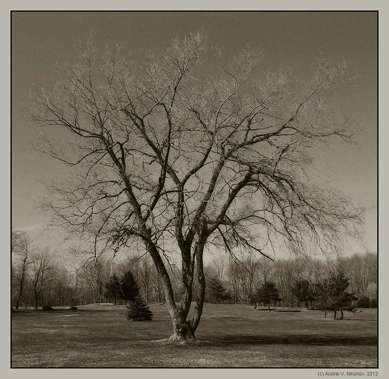 photo "Expectation of spring" tags: landscape, black&white, 