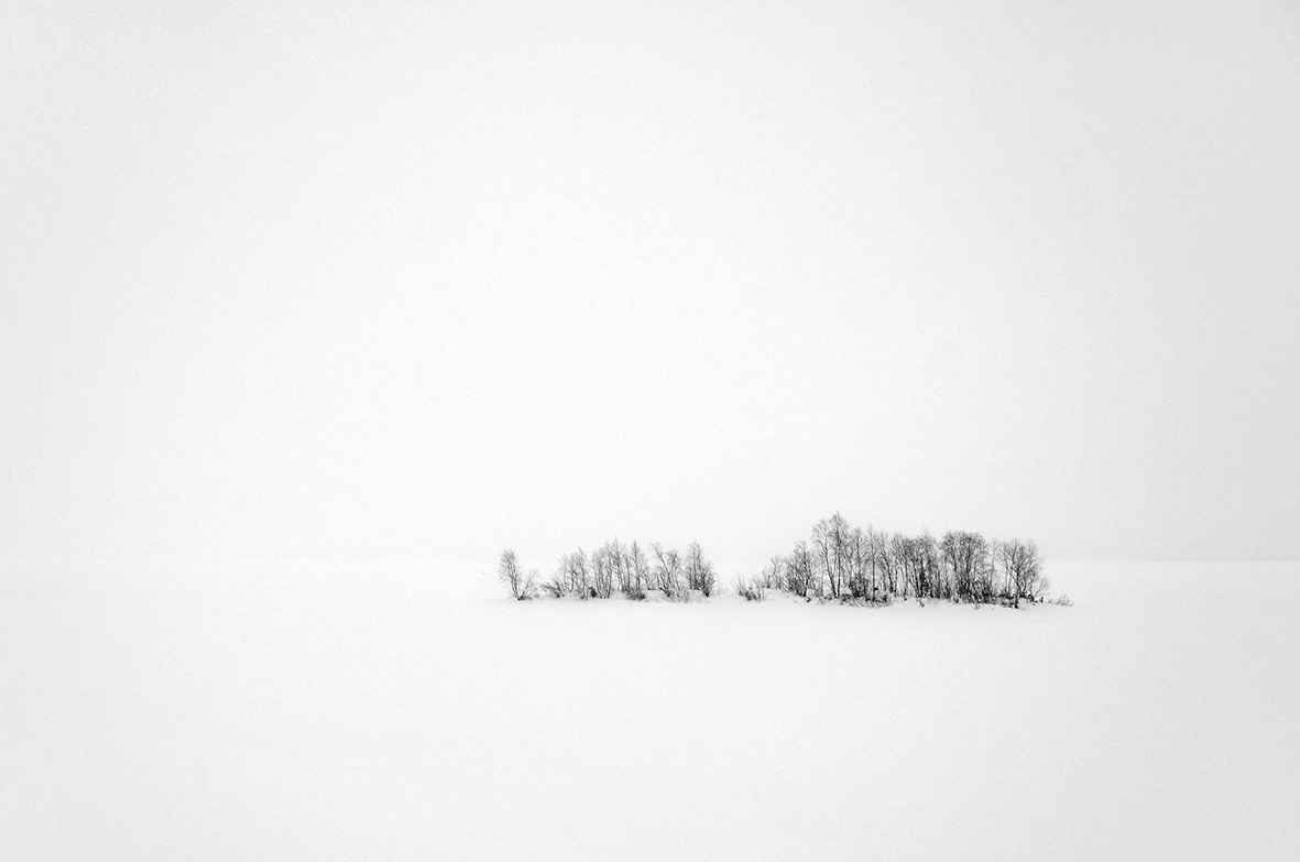 photo "White silence" tags: landscape, black&white, winter