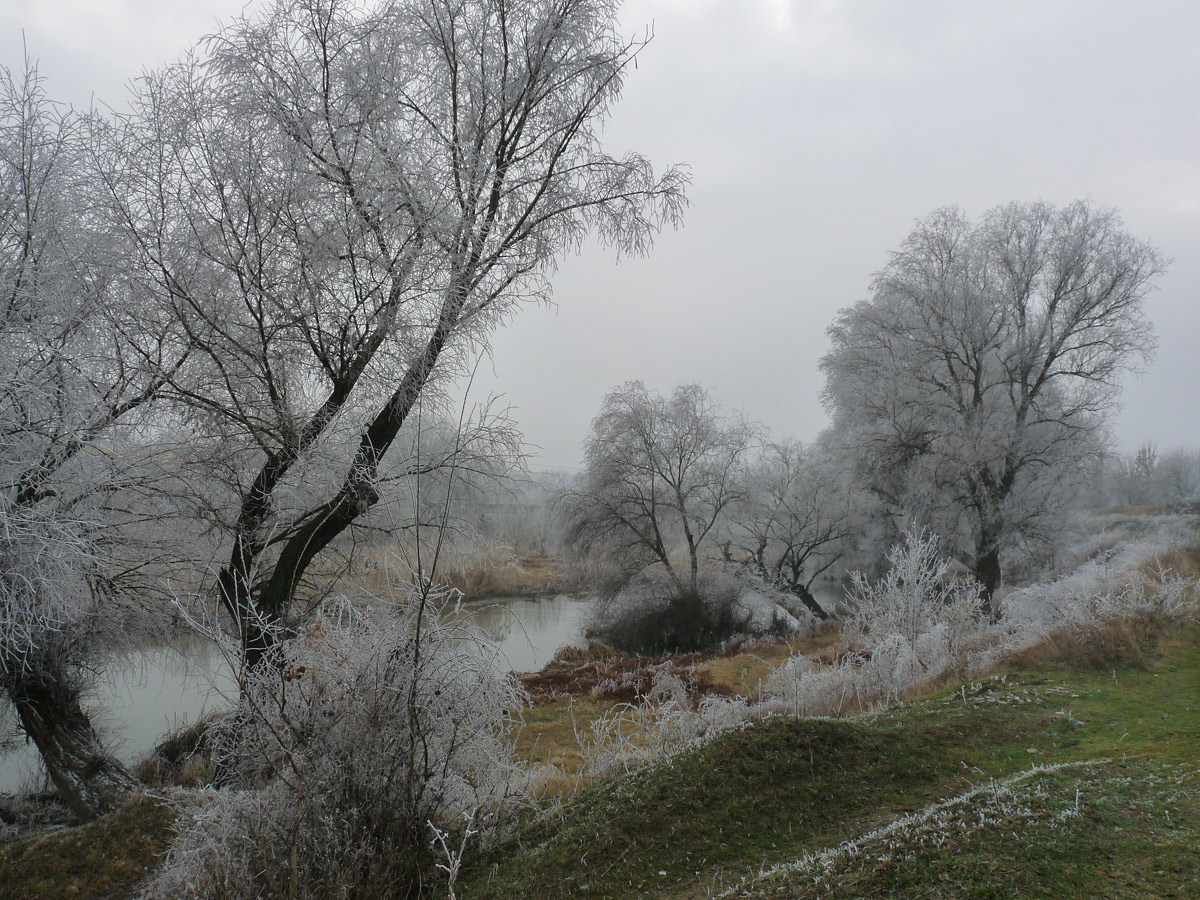 фото "***" метки: пейзаж, 