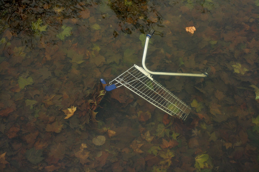 фото "Осень консьюмеризма, или Кризис" метки: пейзаж, подводные, вода