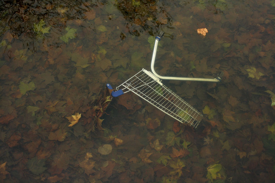 photo "***" tags: landscape, underwater, water