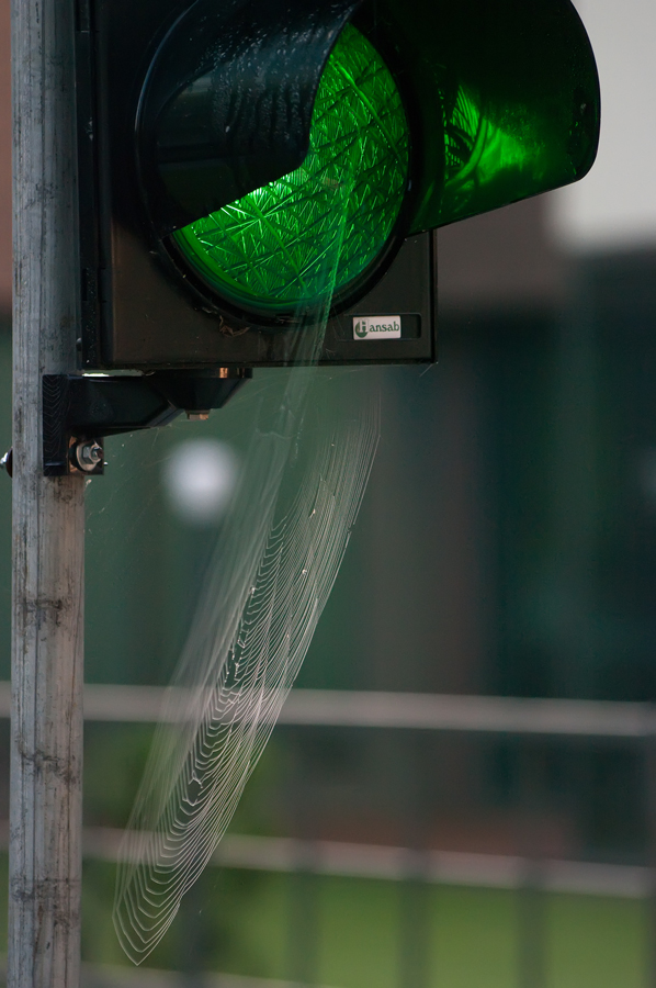 photo "***" tags: fragment, 