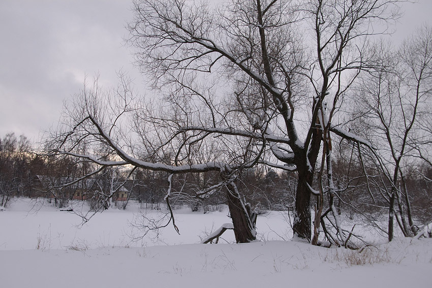 photo "***" tags: landscape, winter