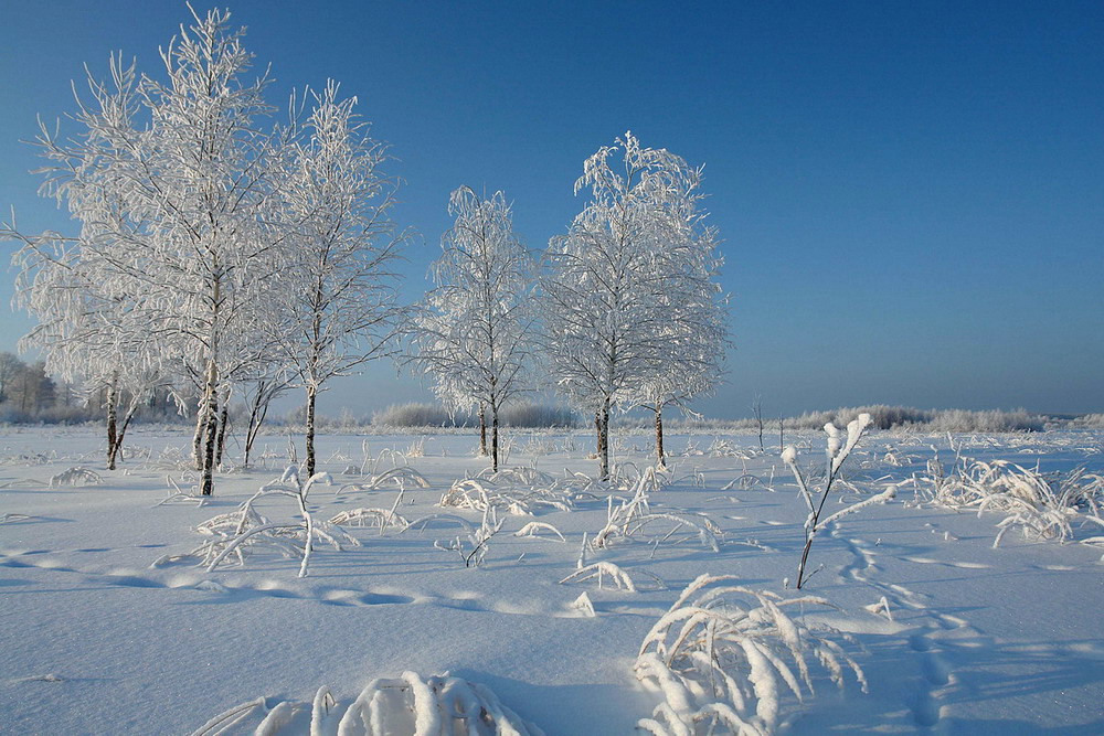 фото "Мороз и солнце..." метки: пейзаж, зима