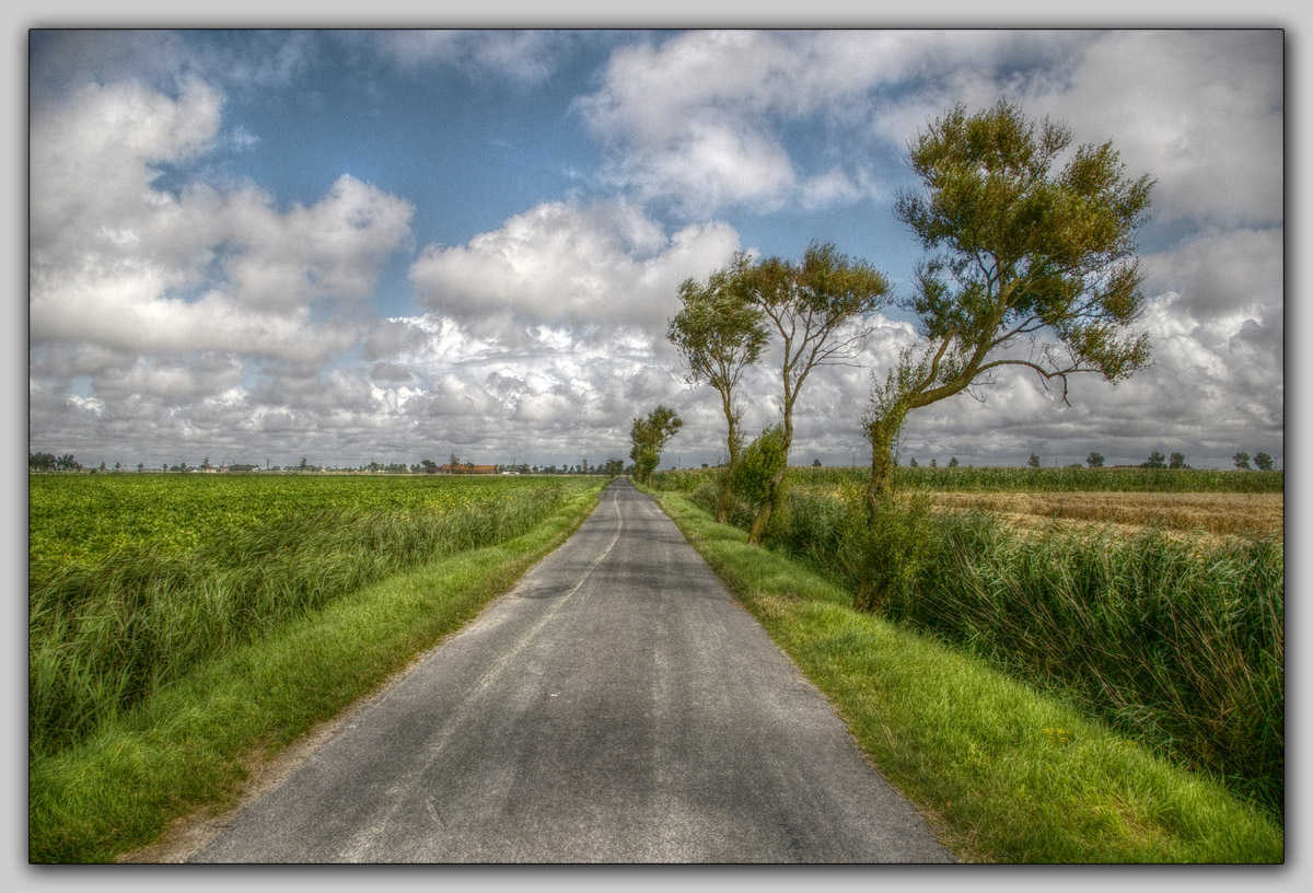 photo "***" tags: landscape, summer