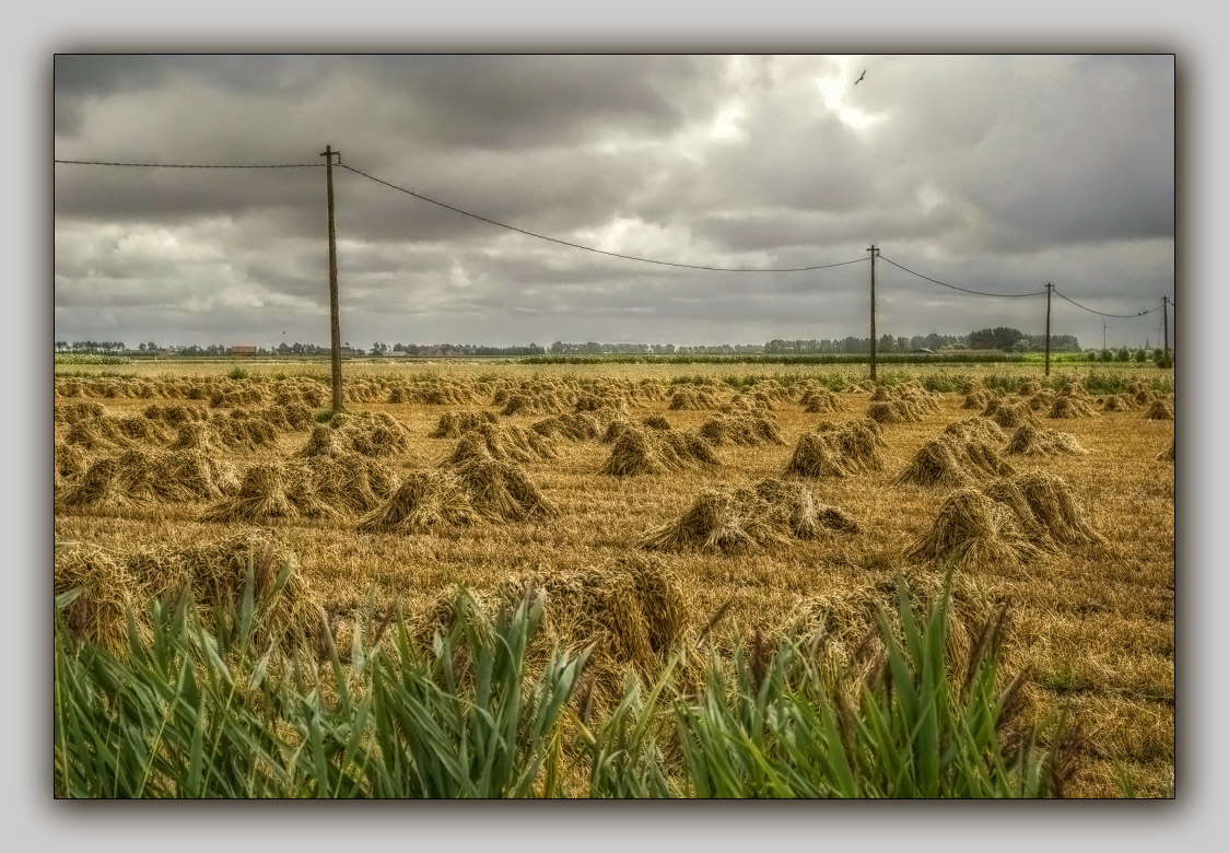 photo "***" tags: landscape, autumn