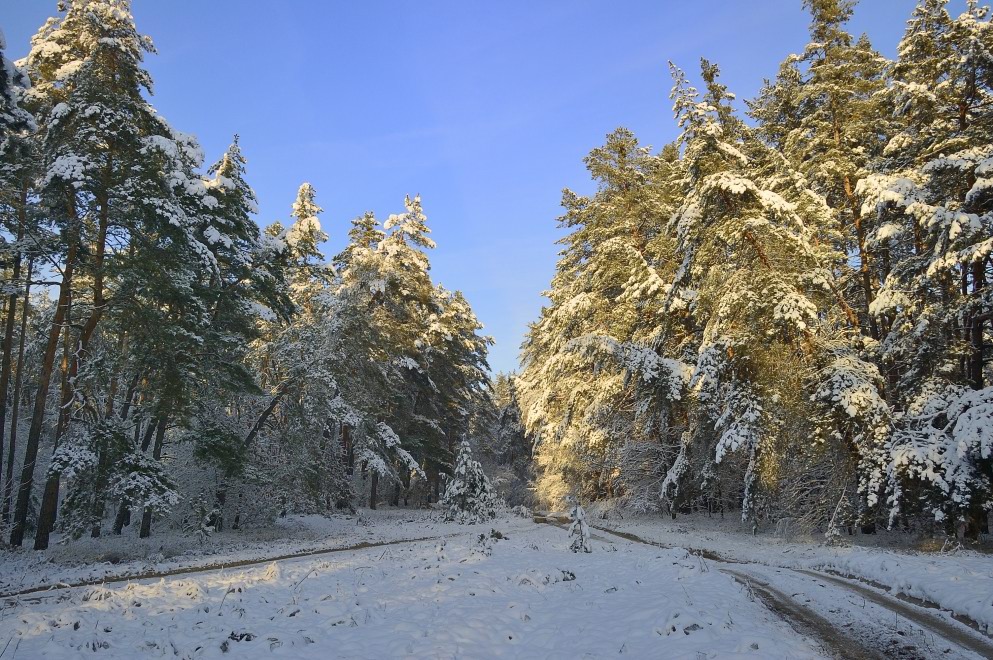 photo "***" tags: landscape, winter