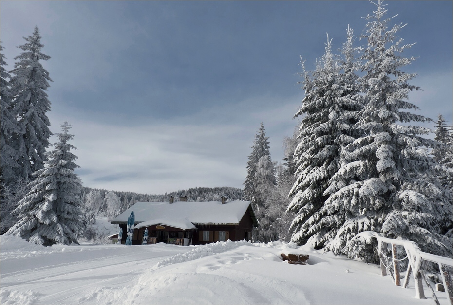 photo "***" tags: landscape, winter