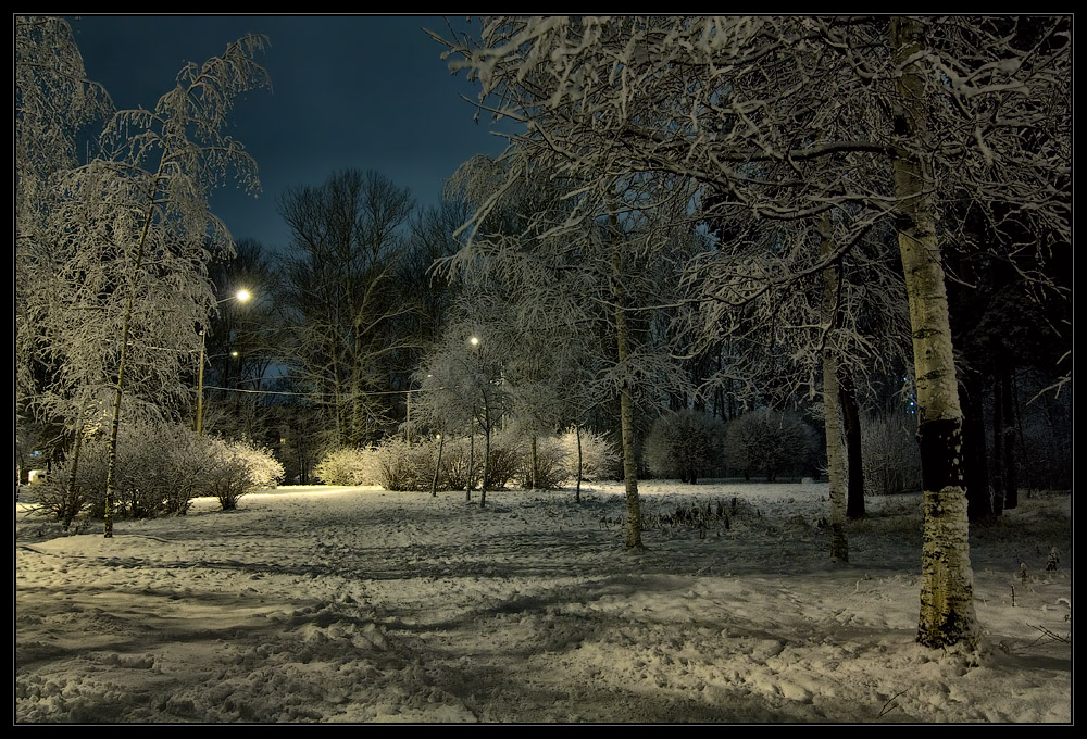 photo "***" tags: landscape, night, winter