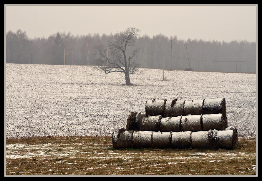 photo "***" tags: misc., 