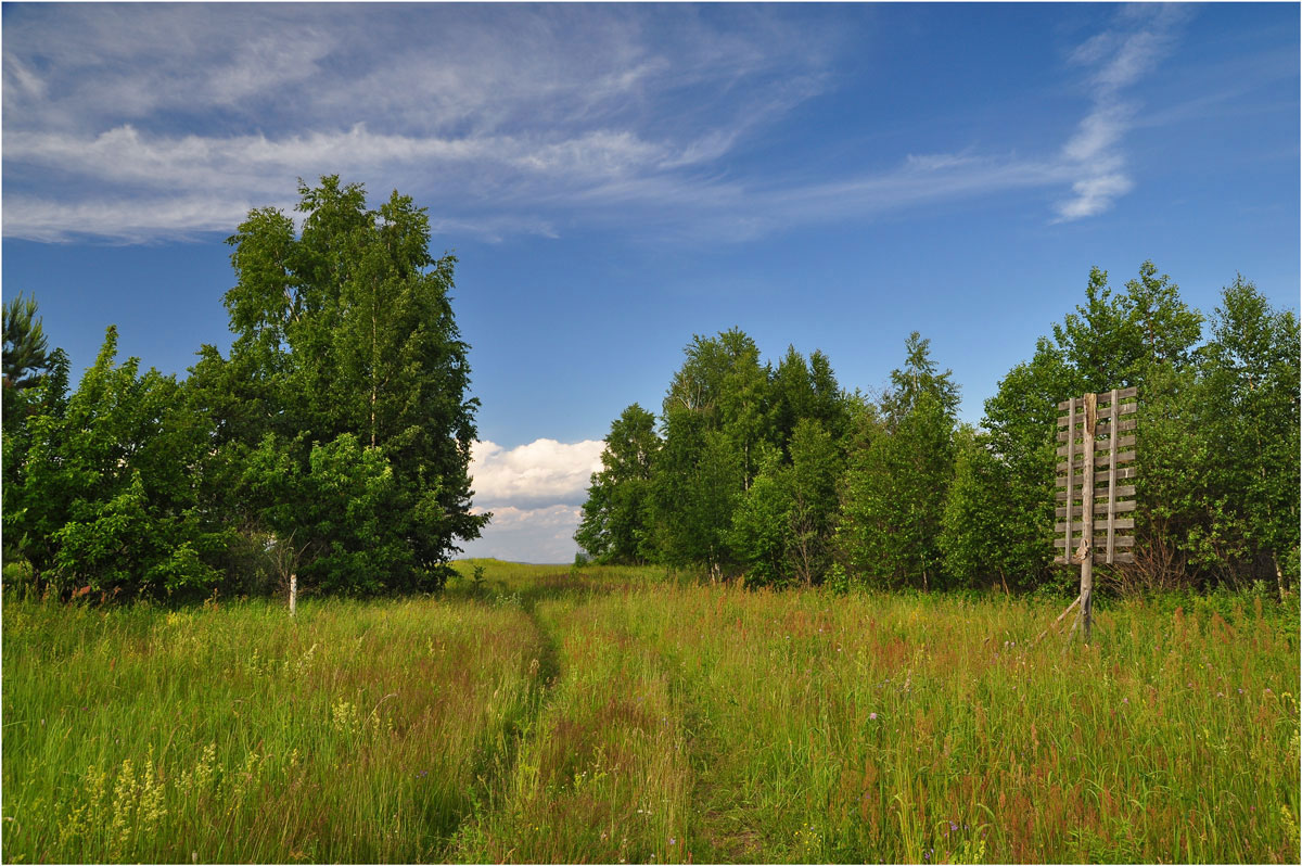 photo "***" tags: landscape, summer