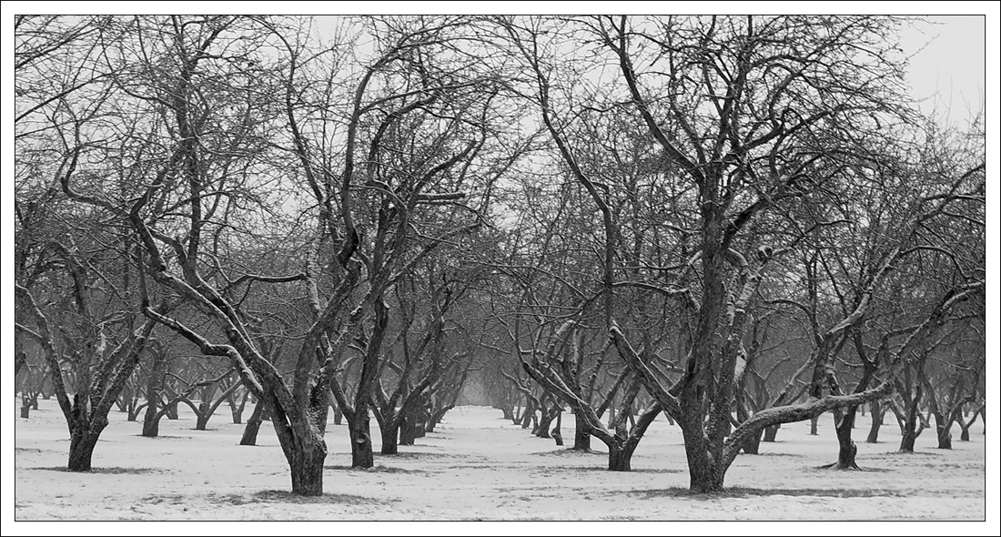 фото "***" метки: пейзаж, зима