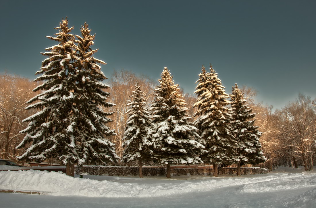 photo "***" tags: landscape, winter