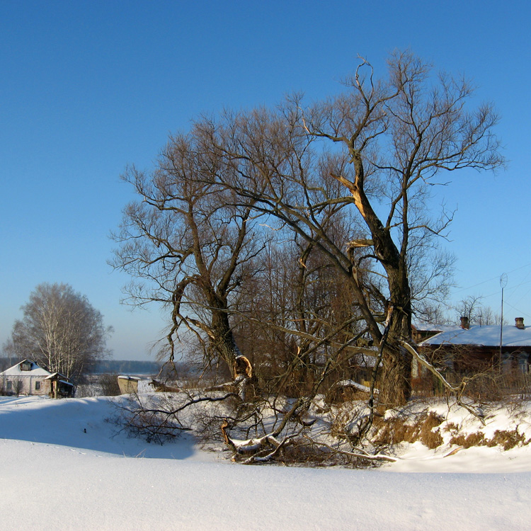 photo "***" tags: landscape, travel, winter