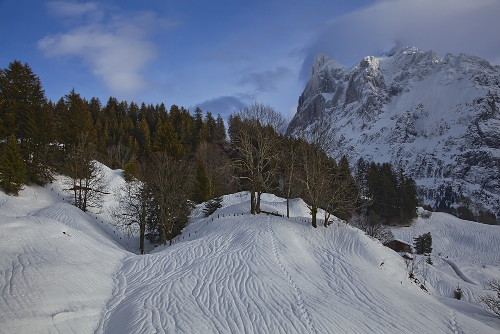 photo "***" tags: landscape, mountains, winter