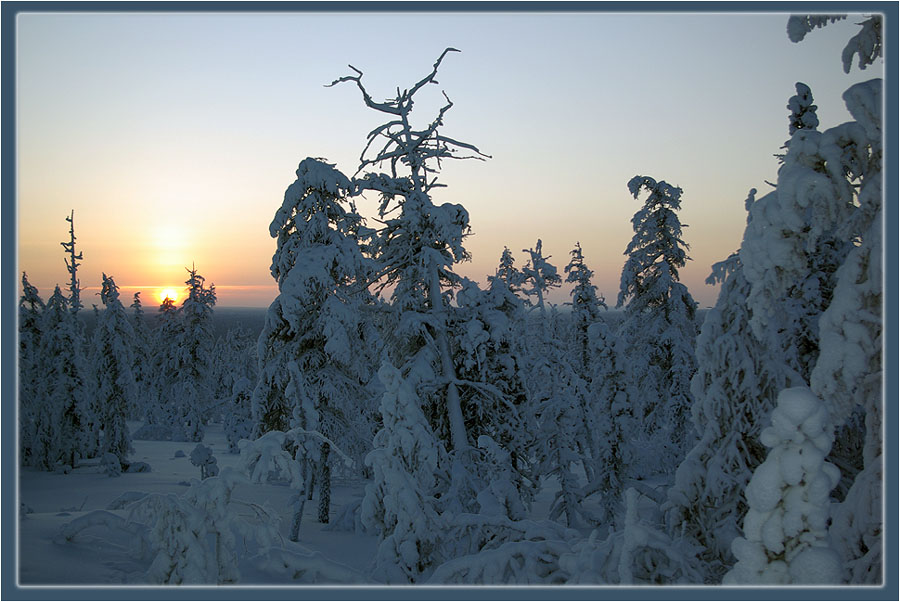 photo "***" tags: landscape, forest, winter