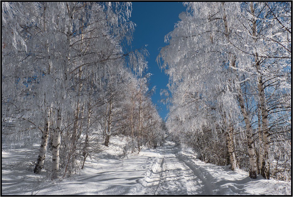 photo "***" tags: landscape, winter