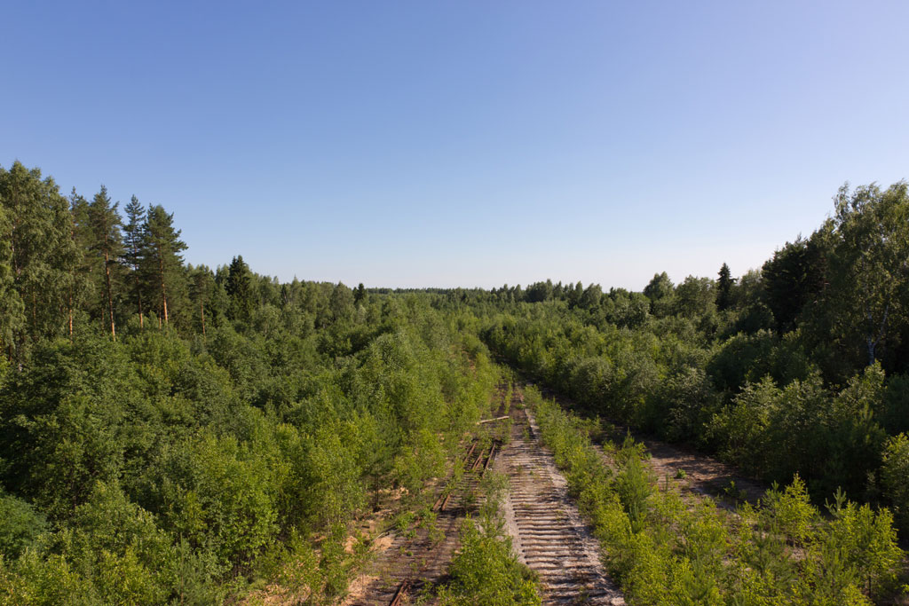 фото "Дорога в Никуда*" метки: пейзаж, лес