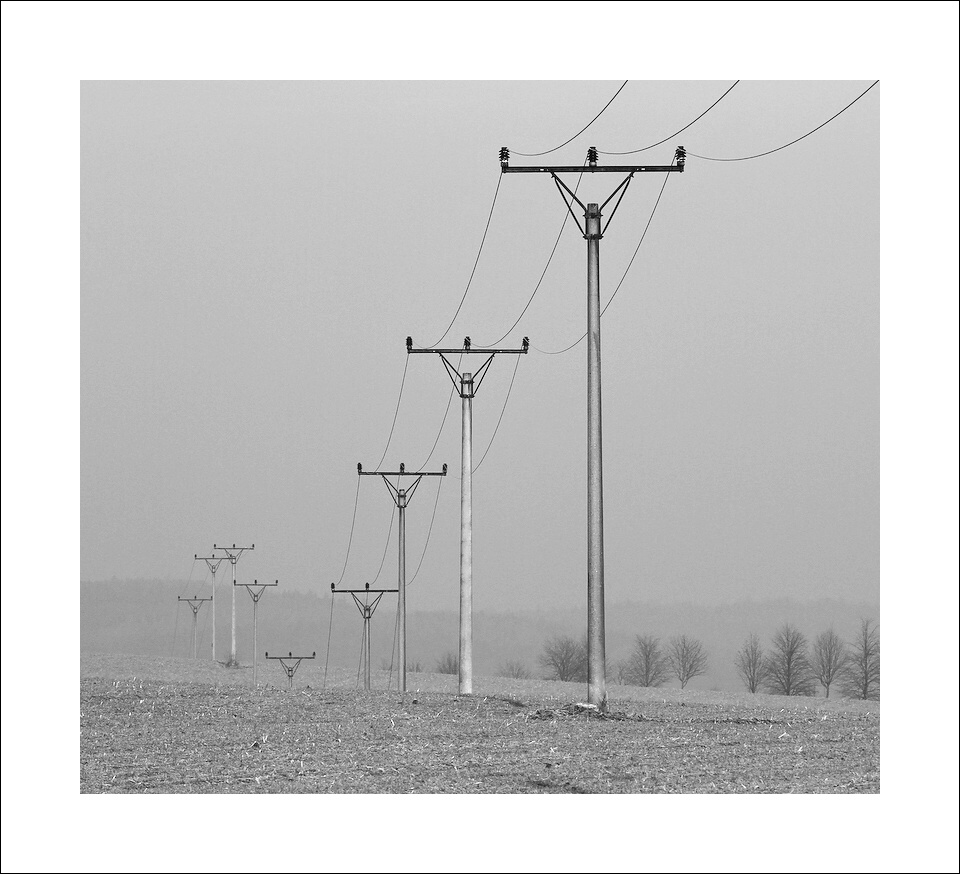 photo "***" tags: black&white, 