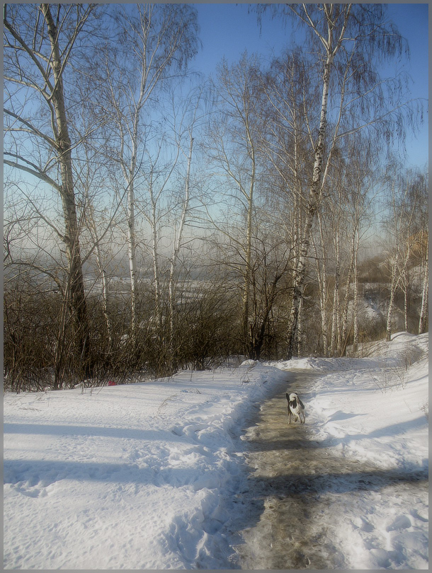 photo "***" tags: landscape, winter