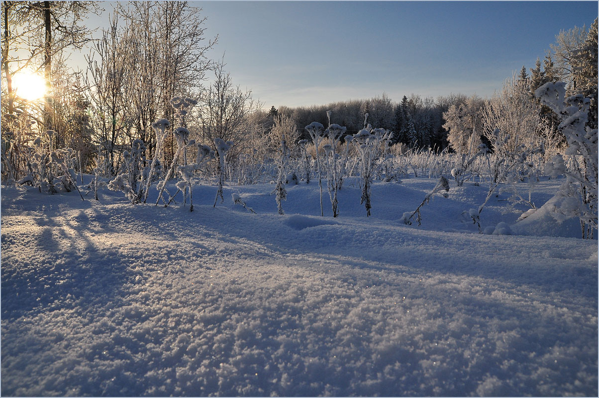 photo "***" tags: landscape, winter