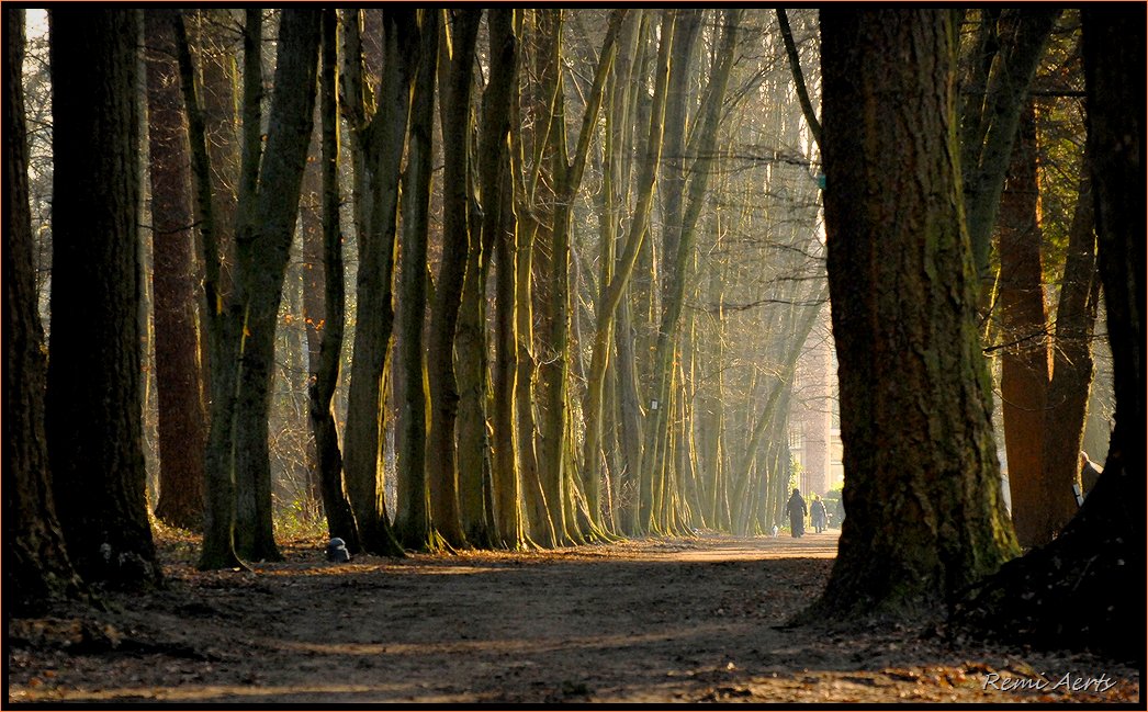 photo "***" tags: landscape, autumn, forest