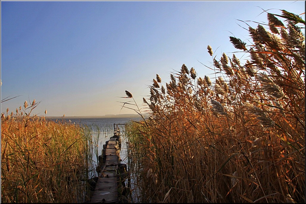 photo "***" tags: landscape, autumn, water