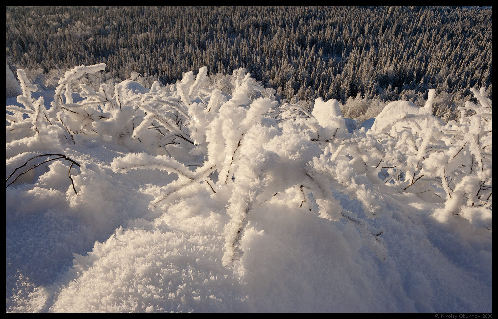 photo "***" tags: landscape, winter