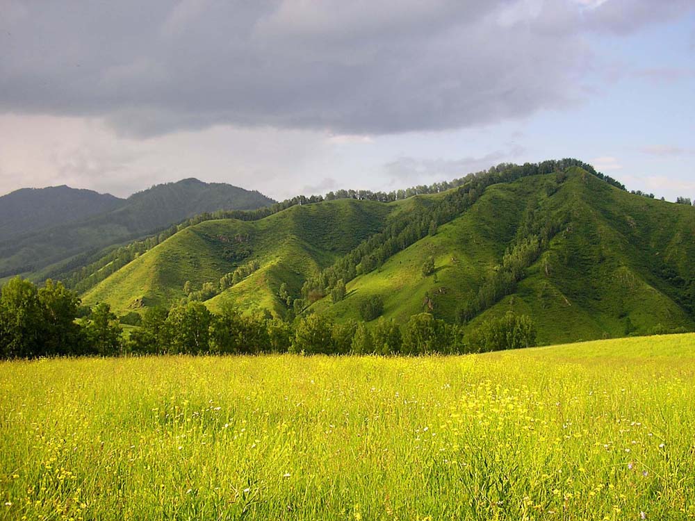 photo "Velvet mountain" tags: landscape, mountains, summer