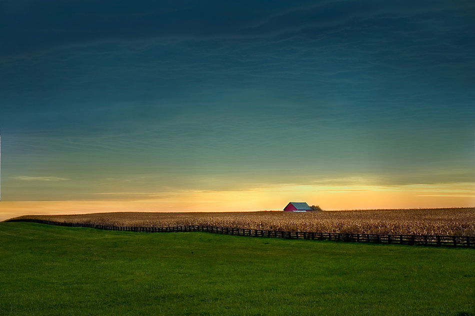 photo "Alone" tags: landscape, spring