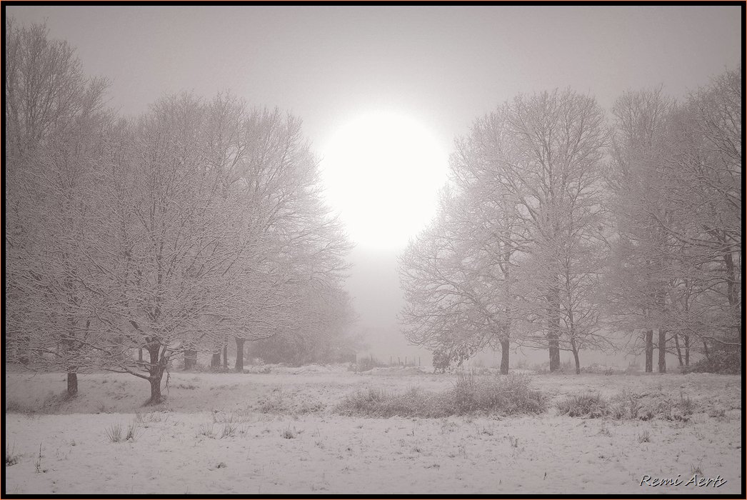 фото "winter morning" метки: пейзаж, закат, лес
