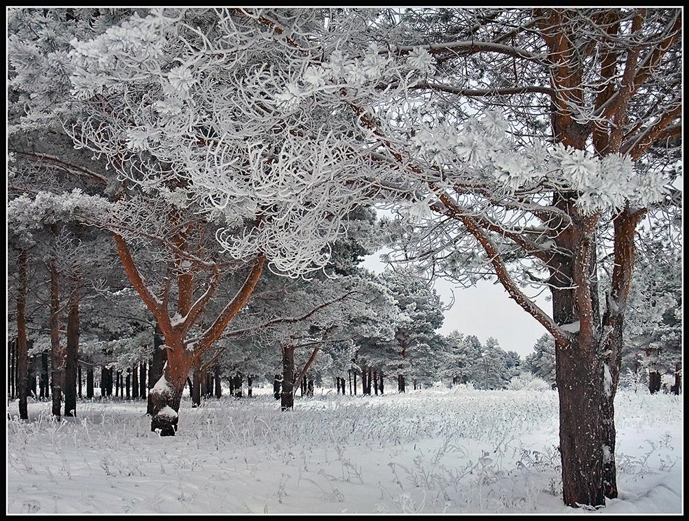 photo "***" tags: landscape, winter