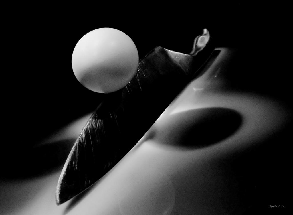 фото "On the equilibrium." метки: натюрморт, 