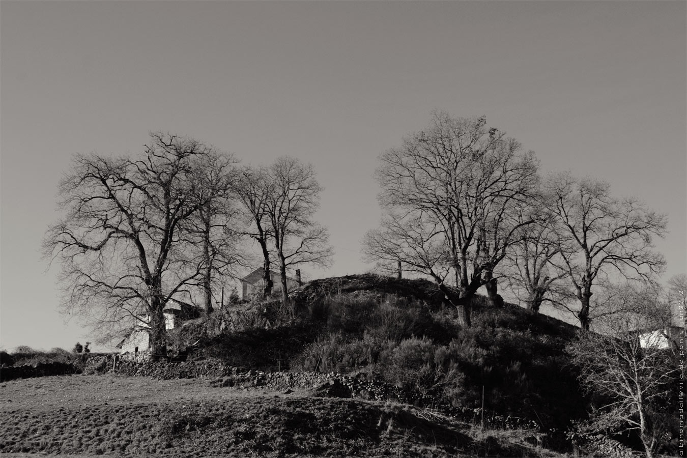 photo "Vila da Ponte" tags: landscape, 