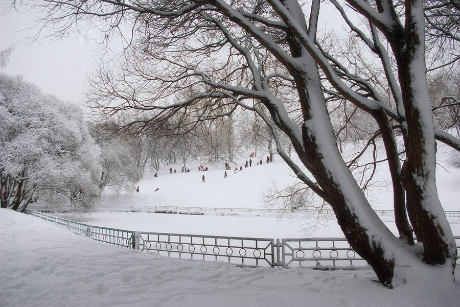 фото "В Коломенском." метки: пейзаж, город, зима