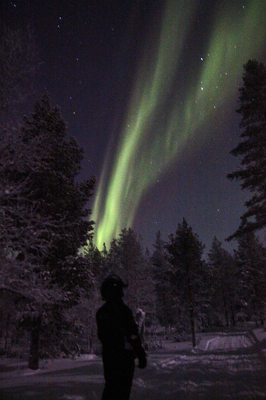 photo "Aurora Borealis" tags: landscape, night, winter