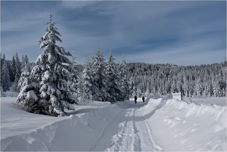 photo "***" tags: landscape, winter