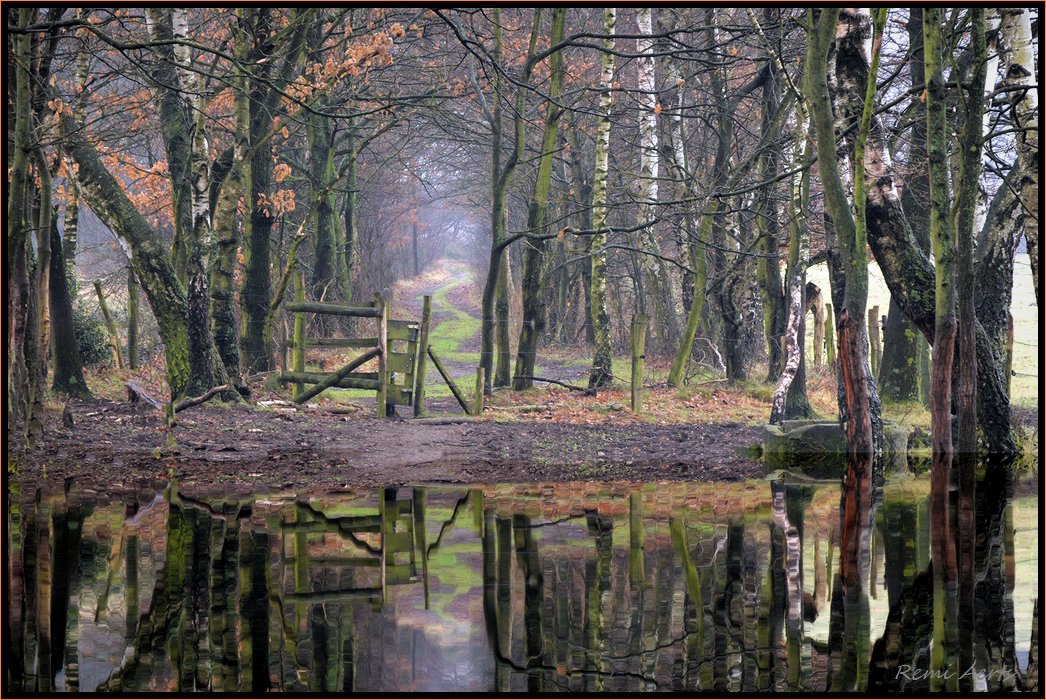 photo "water after the rain" tags: landscape, water