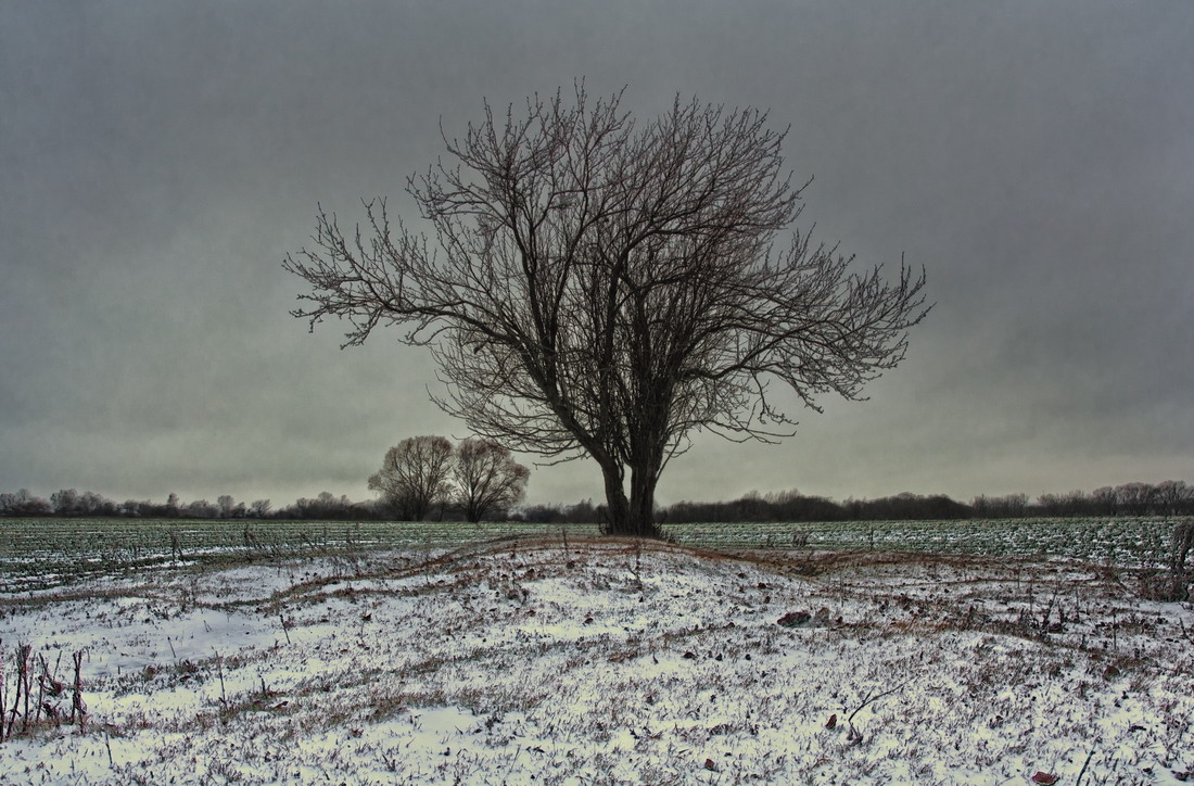 photo "***" tags: landscape, winter