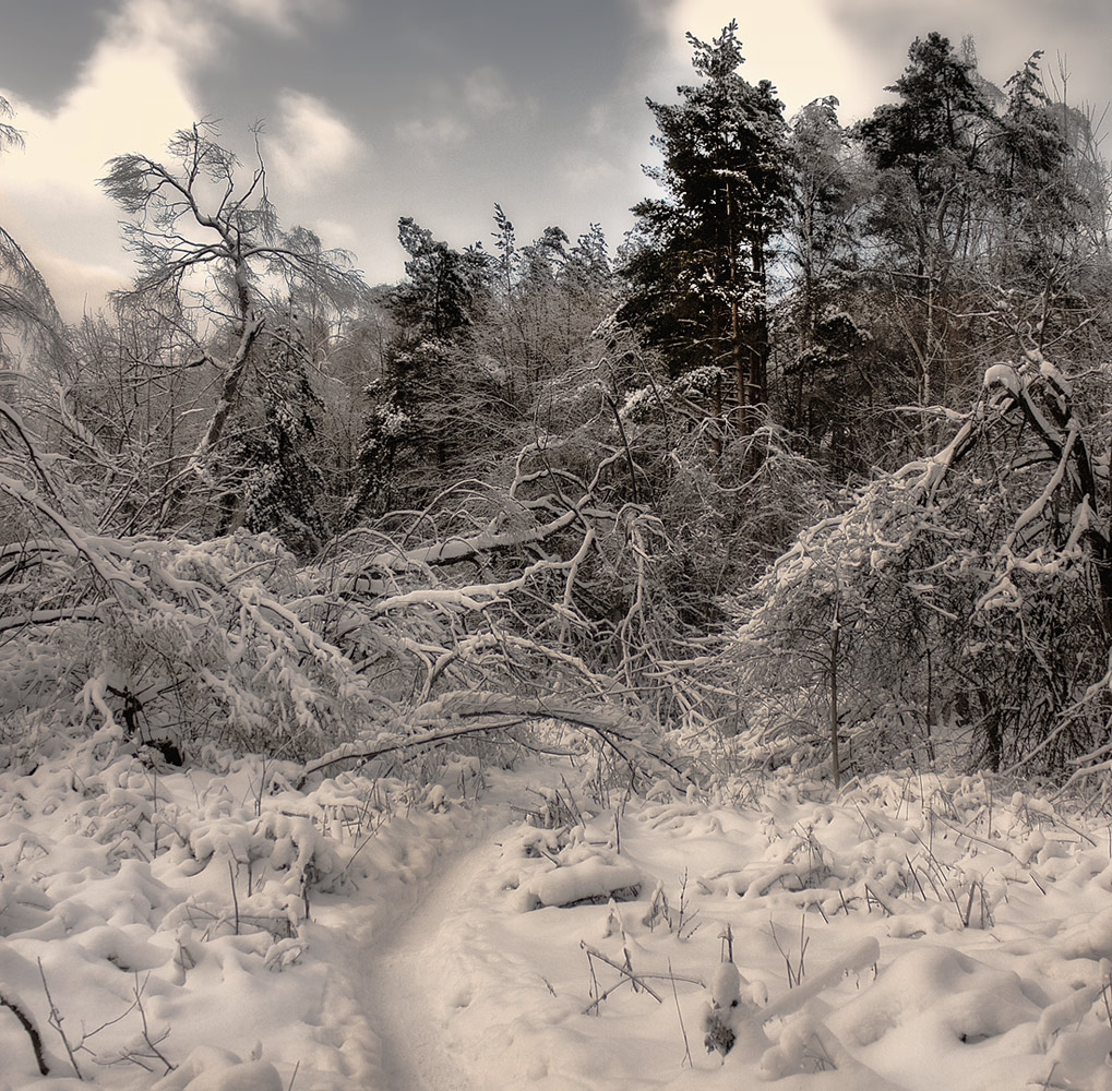 фото "Снежный хаос." метки: пейзаж, зима, лес