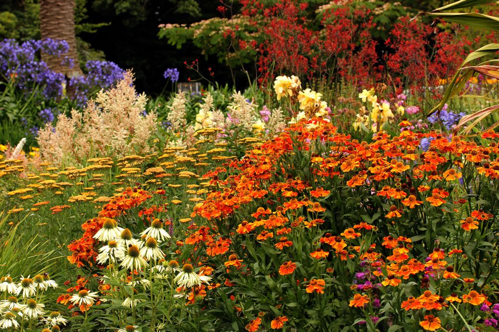 photo "A Summer Garden." tags: nature, flowers
