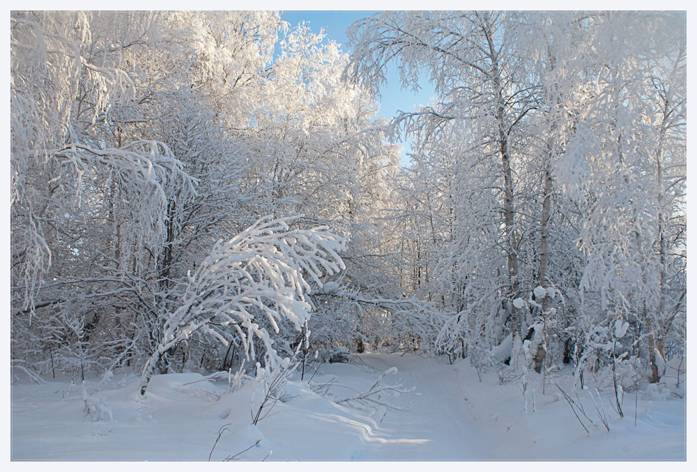 photo "***" tags: landscape, nature, winter