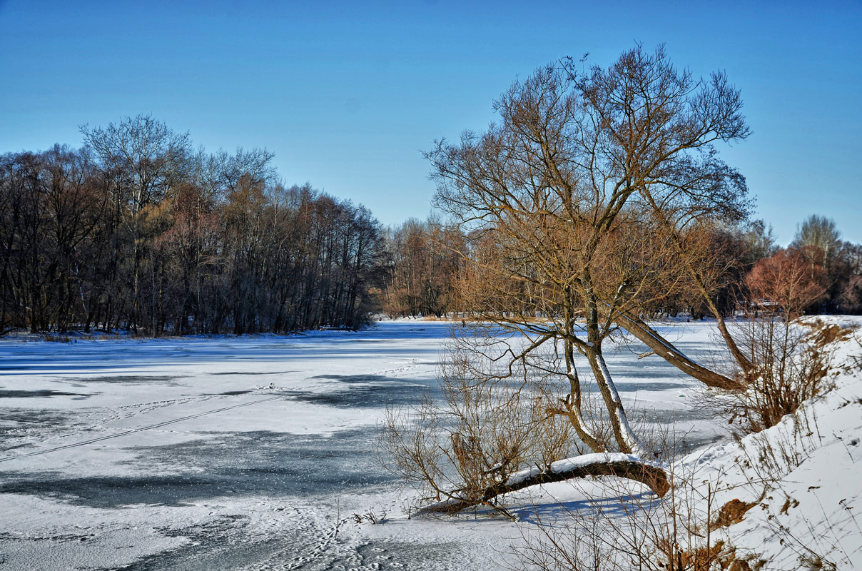 фото "У реки" метки: пейзаж, зима
