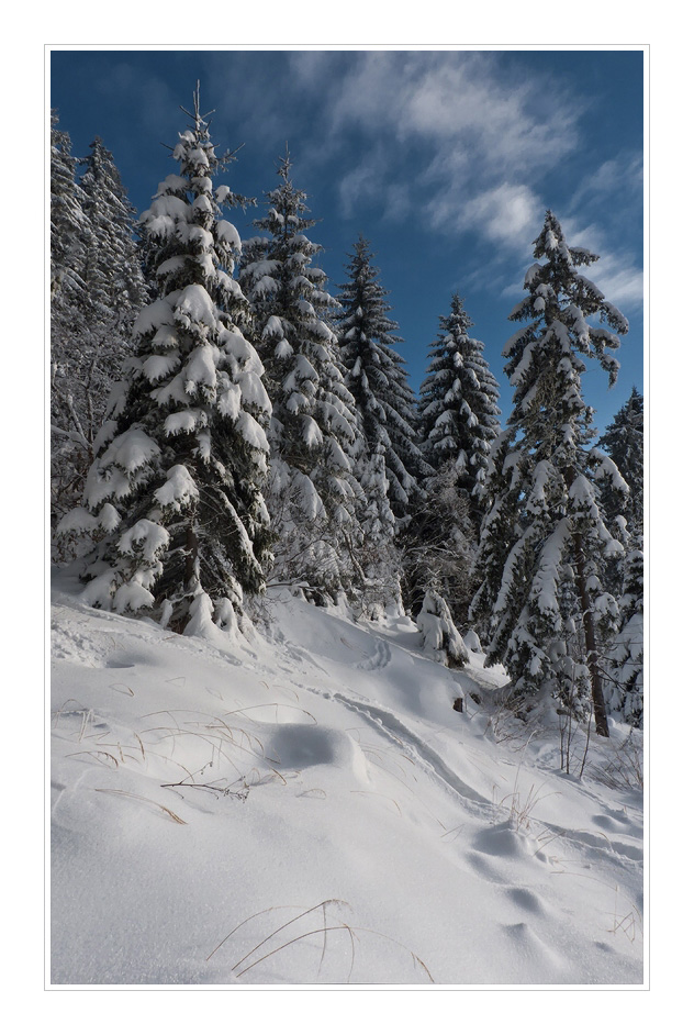 photo "***" tags: landscape, winter